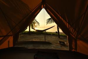 Fotografie z fotogalerie ubytování Robinson Bungalows v destinaci Koh Rong Sanloem