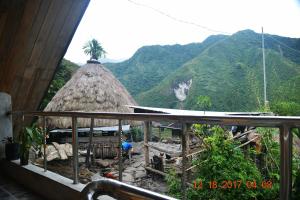 a hut with a palm tree on top of a mountain at Highland Inn and Restaurant in Banaue