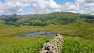 Gallery image of Thorneyfield Guest House in Ambleside