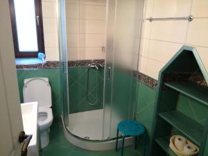a green bathroom with a shower and a toilet at Beautiful cottage in Zagora in Zagora