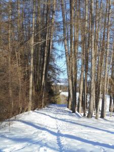 Pension Sonnenhof a l'hivern