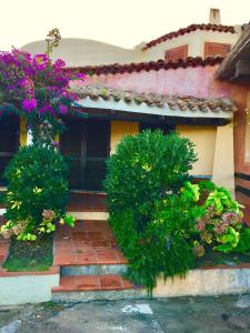 a house with flowers on the side of it at Appartamento Fronte Mare in Santa Teresa Gallura