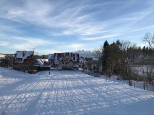 Un patio cubierto de nieve con una casa a lo lejos. en Apartament Widok, en Czarna Góra