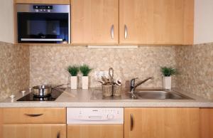 a kitchen counter with a sink and a stove at Holzmannhof in Flachau