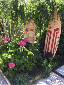VILLA ZENITH Hostel - LA MAISON外面的花园