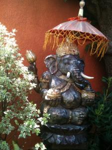 VILLA ZENITH Hostel - LA MAISON外面的花园