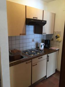 Kuchyňa alebo kuchynka v ubytovaní Landhaus Engadin