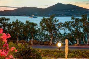 a light in a garden with a view of the water at Hippocampus Hotel in Naousa