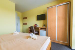 TV a/nebo společenská místnost v ubytování Hotel&Wellness Knížecí rybník