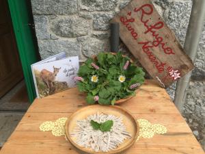 una mesa de madera con una planta y un libro en Rifugio Luna Nascente, en San Martino