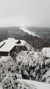 ハーネンクレー・ボックスヴィーゼにあるFerienwohnung Steffens Hahnenklee Wohnung 25の山雪家