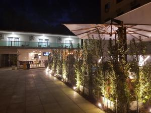 a building with a row of plants with lights at Casa de Oliveira Hostel in Torres