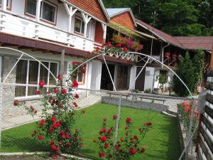 una casa con un patio con rosas rojas en Pensiunea Amo en Vălenii de Munte