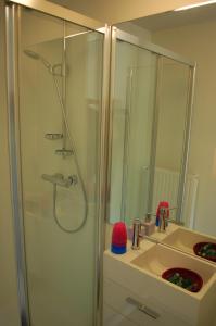 La salle de bains est pourvue d'une douche et d'un lavabo. dans l'établissement B&B Het Schaliënhof, à Furnes
