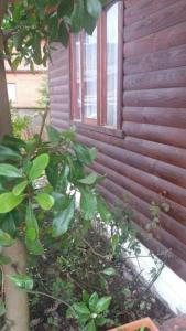 Gallery image of Cabañas Patricia Licanray in Licán Ray