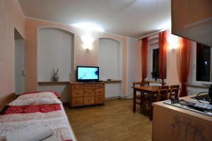 Televízia a/alebo spoločenská miestnosť v ubytovaní Resort Abertham - apartment Vanessa