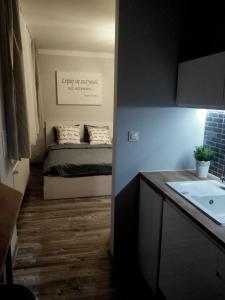 グディニャにあるGrey Apartament Centrum Gdyniaの小さなベッドルーム(ベッド1台、シンク付)