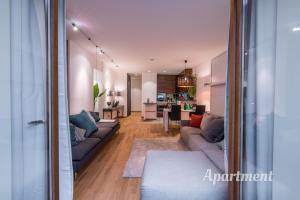 sala de estar con 2 sofás y cocina en Le Balcon de la Vieille Ville Annecy en Annecy
