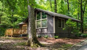eine kleine Hütte im Wald mit einem Baum in der Unterkunft Amicalola Falls State Park and Lodge in Dawsonville