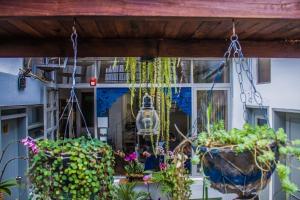 Zahrada ubytování Hostal Posada del Maple