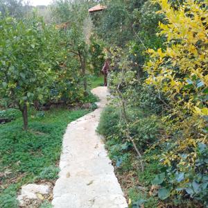Κήπος έξω από το Amirim Atmosphere