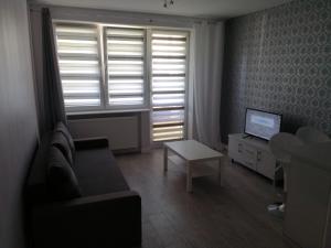 Televízia a/alebo spoločenská miestnosť v ubytovaní Nordic Apartamenty Suraska