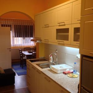 cocina con fregadero y encimera en Apartments Villa Svetlana, en Vrnjačka Banja