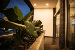 Fotografie z fotogalerie ubytování Lithio Hotel v destinaci Veracruz