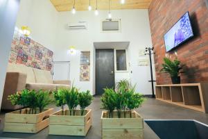 een woonkamer met drie potplanten in houten kisten bij Santa Chiara Maison in Napels