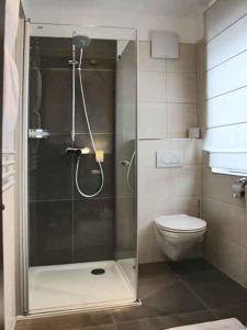 ein Bad mit einer Dusche und einem WC in der Unterkunft Hotel il Castello Borghese in Senningerberg