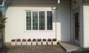 a house with a window and a row of potted plants at Geoje Ton Ton Guesthouse in Geoje