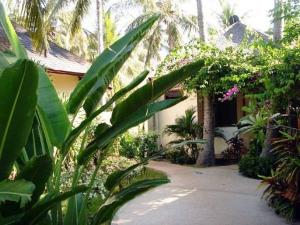 a garden with palm trees and a house with a driveway at Luce d'Alma Suites Resort & Spa in Gili Trawangan