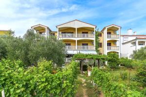 a building with a bunch of vines in front of it at Apartments Adria in Biograd na Moru