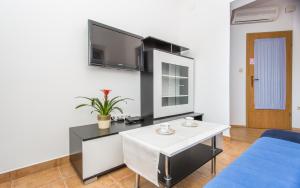 TV a/nebo společenská místnost v ubytování Apartments Lucija 2