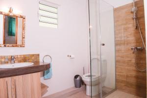 W łazience znajduje się prysznic, toaleta i umywalka. w obiekcie Coconuts w mieście Grand Baie