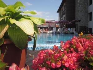 Bazén v ubytování Spa Hotel Kleptuza nebo v jeho okolí