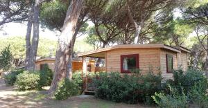 Gallery image of Le Esperidi Camping Ecoresort in Marina di Bibbona