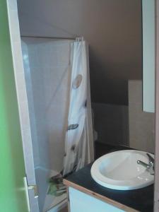 Koupelna v ubytování Gîte Lézardrieux
