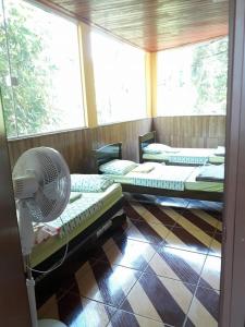 Gallery image of Hostel do Tucano in Rio de Janeiro