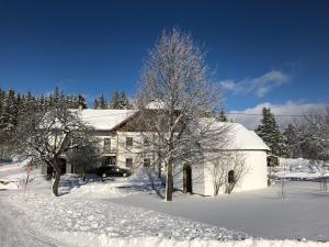 Ferienbauernhof Koller (Familie Hofer) - Urlaub am Bauernhof v zimě