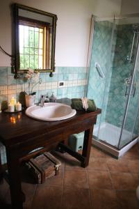a bathroom with a sink and a shower at Casale la Decima in Budrio