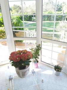 Balkon lub taras w obiekcie Villa los Angeles Piscine privée 16 pers