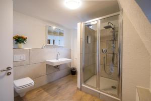 a bathroom with a shower and a toilet and a sink at Schloss Auerbach Große Ferienwohnung in Bensheim +30 photos