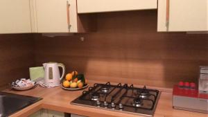 Kuchyň nebo kuchyňský kout v ubytování B&B Gloria Apartment