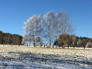 Gasthof Waldschenke talvel