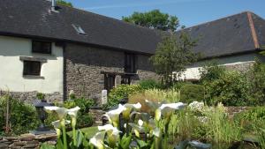a garden in front of a house with white flowers at WebberHillFarmCottages in Okehampton