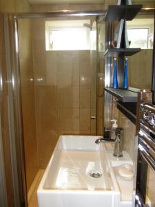 a bathroom with a sink and a shower at Studio in Stanmore