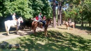 Imagen de la galería de Estancia San Miguel, en Villa Yacanto 37 fotos más