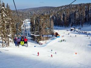 a group of people on a ski lift in the snow at Zeleni Apartment Rogla in Zreče