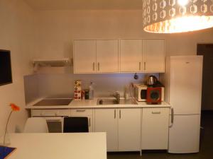 Kuchyň nebo kuchyňský kout v ubytování The modern apartment